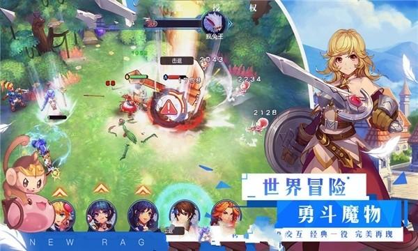 救援袋鼬