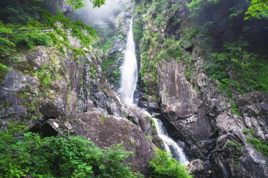 上海街头靓丽精美龙年装饰陆续“上线”迎接农历龙年