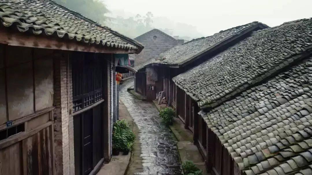 扛剧女主、职场老公姐,宋茜有效播剧不止有收视成绩验证
